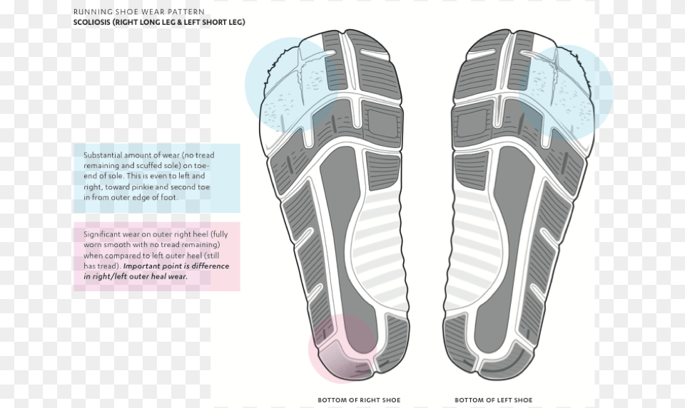 Shoe Sole Sneakers, Clothing, Footwear Png