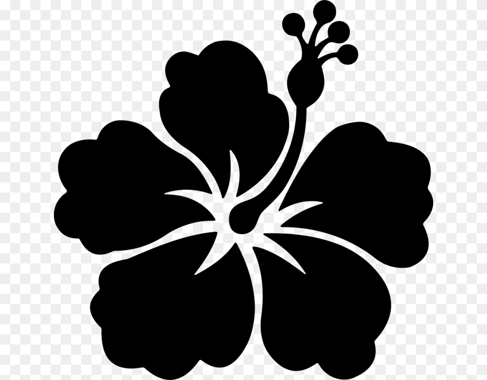 Shoeblackplant Flower Stencil Wall Decal Sticker, Gray Png Image