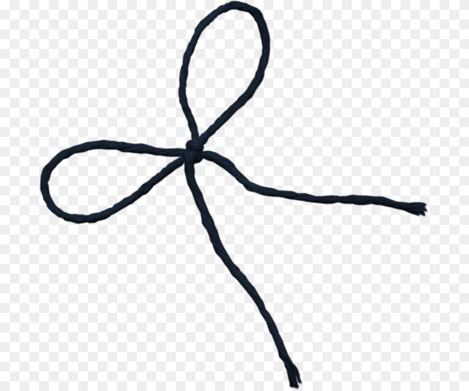 Shoelace, Knot, Plant Free Transparent Png