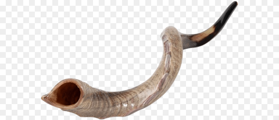 Shofar, Smoke Pipe, Brass Section, Horn, Musical Instrument Png