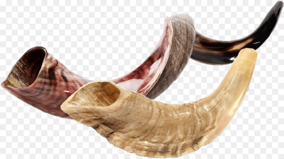 Shofar, Brass Section, Horn, Musical Instrument, Smoke Pipe Free Png