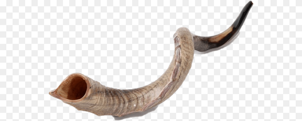 Shofar Horn File Shofar For Sale, Brass Section, Musical Instrument, Smoke Pipe Free Png