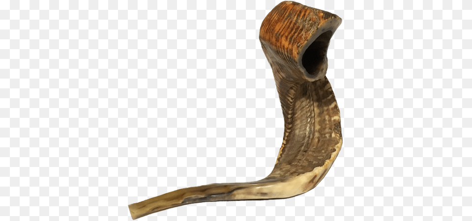 Shofar The Sound Of Covenant Declare His Glory Among The Nations, Smoke Pipe Png