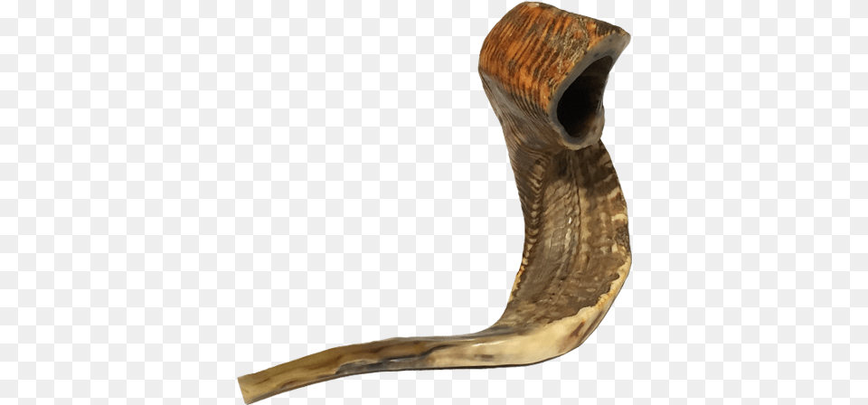 Shofar The Sound Of Covenant Shofar, Smoke Pipe Free Transparent Png