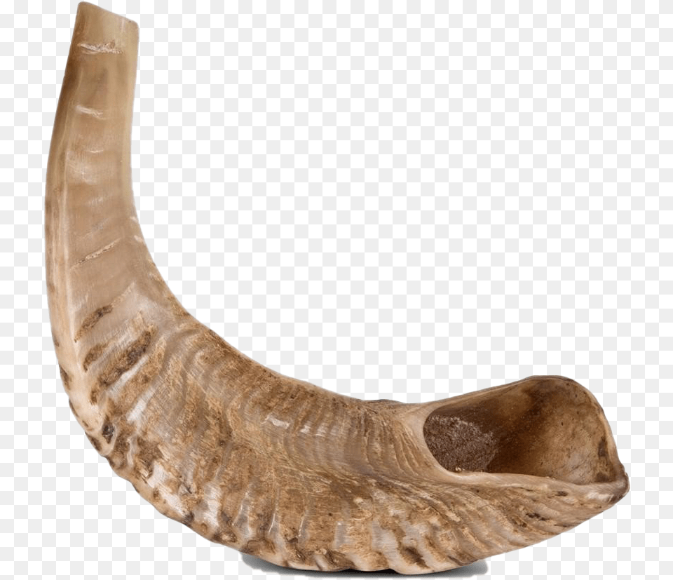 Shofar Transparent Background Shofar No Background, Brass Section, Horn, Musical Instrument Free Png