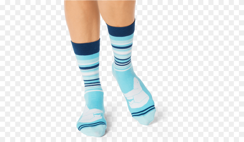 Shongolulu Polar Bear Bars Socks, Clothing, Hosiery, Sock, Person Free Transparent Png