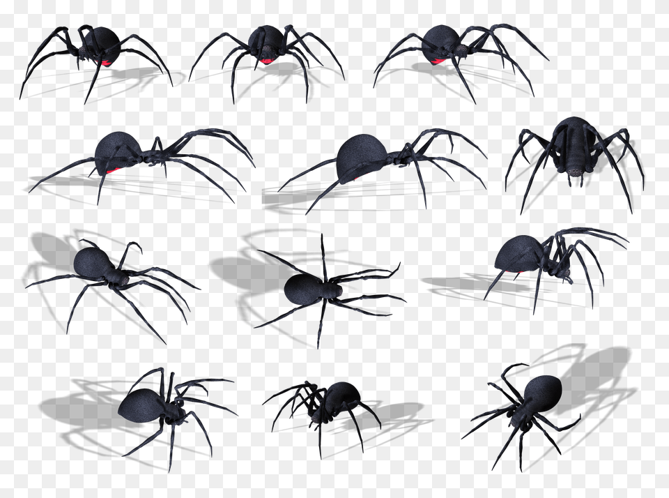 Shooting Star Clipart Shooting Star Transparent Background, Animal, Invertebrate, Spider, Art Png