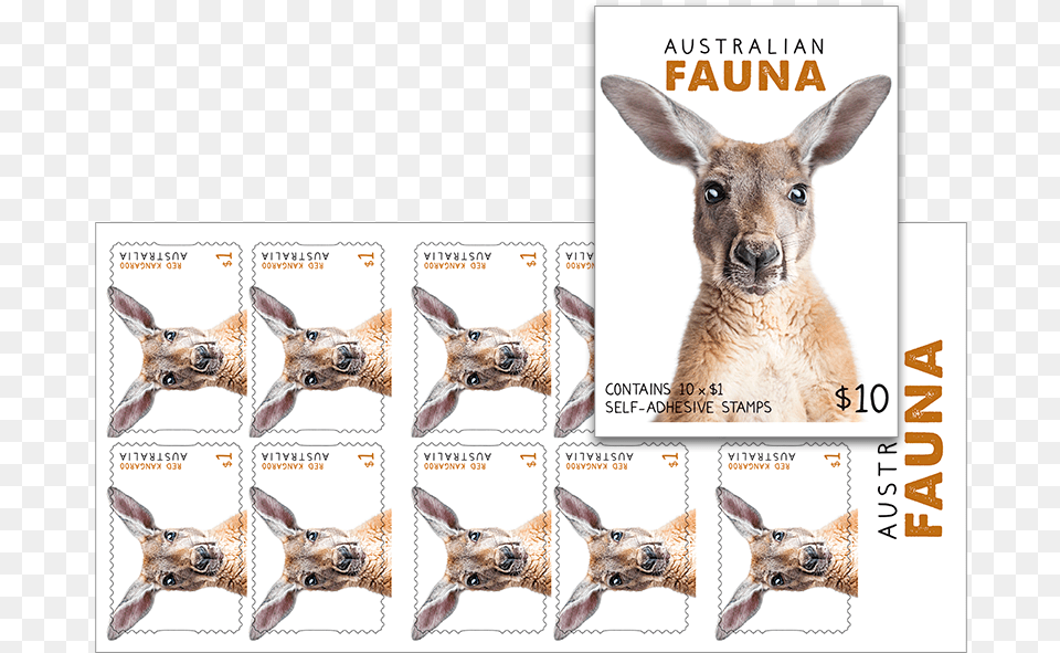 Shop, Animal, Kangaroo, Mammal, Giraffe Free Transparent Png