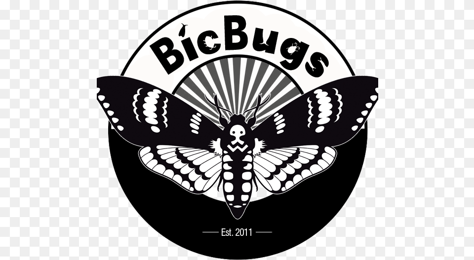 Shop All Products Bug Font, Logo, Symbol, Animal, Insect Png