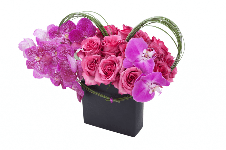 Shop Bouquet, Flower, Flower Arrangement, Flower Bouquet, Plant Free Png