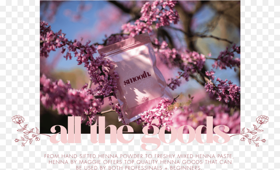Shop Cherry Blossom, Flower, Plant, Advertisement, Poster Free Png Download