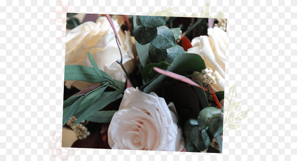 Shop Flowers Garden Roses, Flower, Flower Arrangement, Flower Bouquet, Plant Free Transparent Png