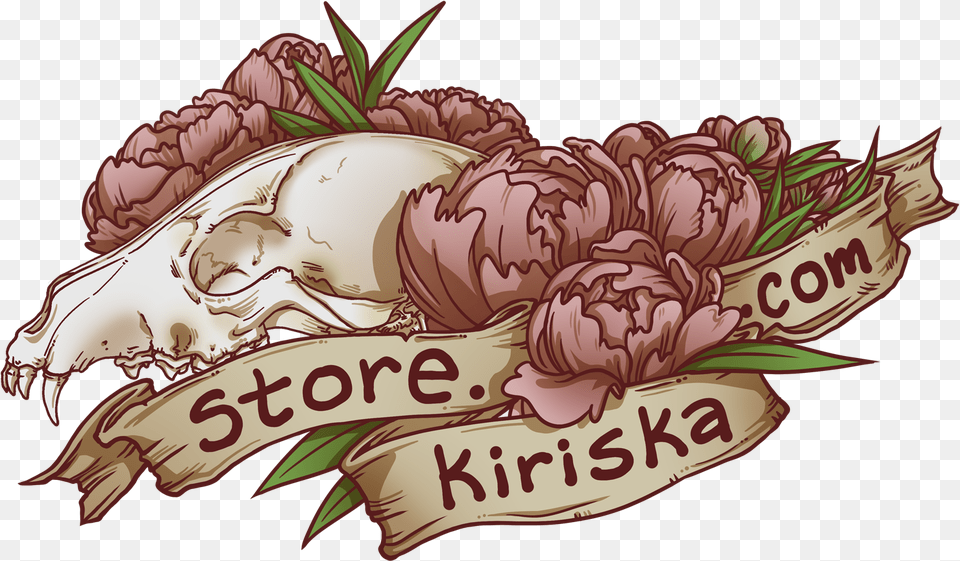Shop Kiriska Illustration, Carnation, Flower, Plant, Face Png Image