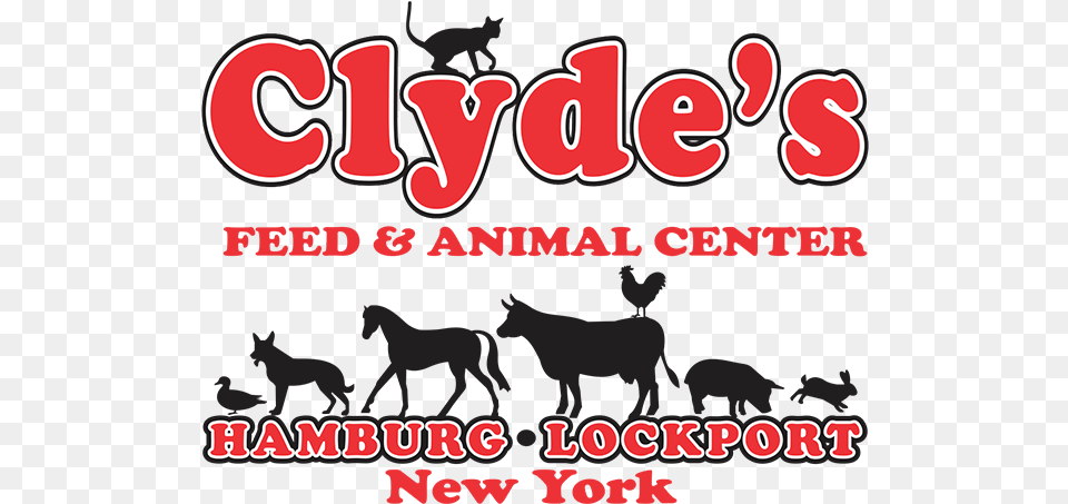 Shop Local Or Online Clydes Feed Logo, Animal, Mammal, Wildlife, Deer Free Transparent Png
