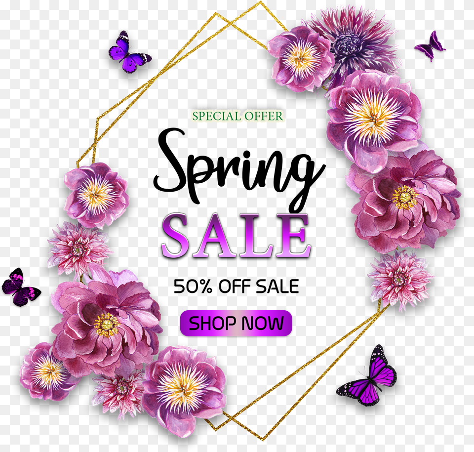 Shop Now, Anther, Dahlia, Flower, Plant Free Png