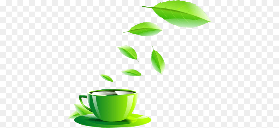 Shop Now Green Cup Clipart, Beverage, Herbal, Herbs, Plant Png Image