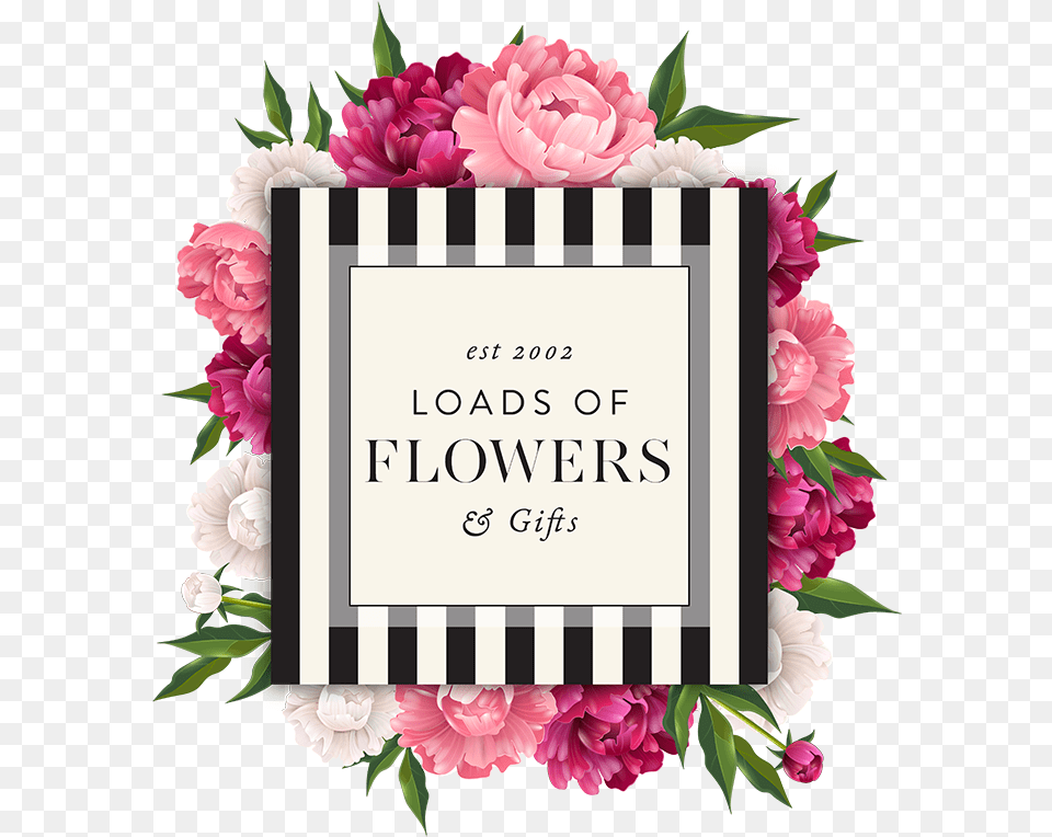 Shop Online Flowers U0026 Gifts South Africa Centurion Loads Of Flowers, Flower, Plant, Rose, Petal Png