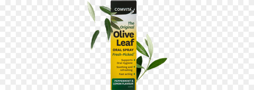 Shop Oral Spray Comvita Olive Leaf Extract Lozenges With Manuka Honey, Herbal, Herbs, Plant, Beverage Png