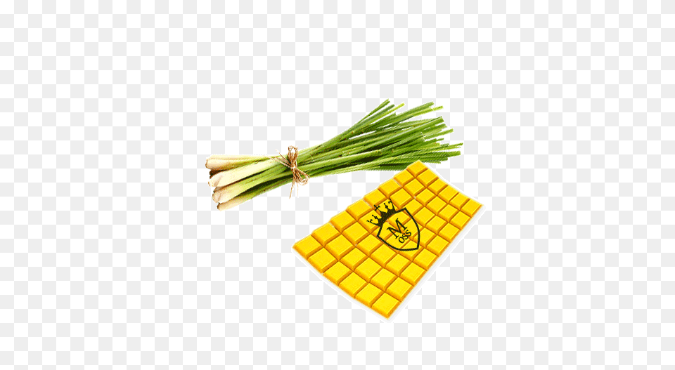 Shop Organic Beeswax Aromatherapy Candles Moss Chandlers, Food, Produce, Plant, Spring Onion Free Png