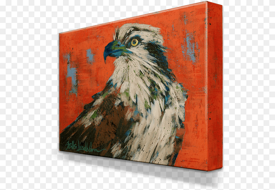 Shop Osprey, Art, Painting, Animal, Beak Free Png Download