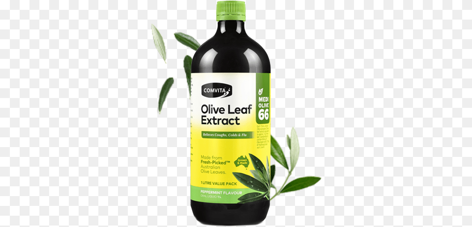 Shop Peppermint Flavour 1l Olive Leaf Extract, Food, Herbal, Herbs, Plant Png Image