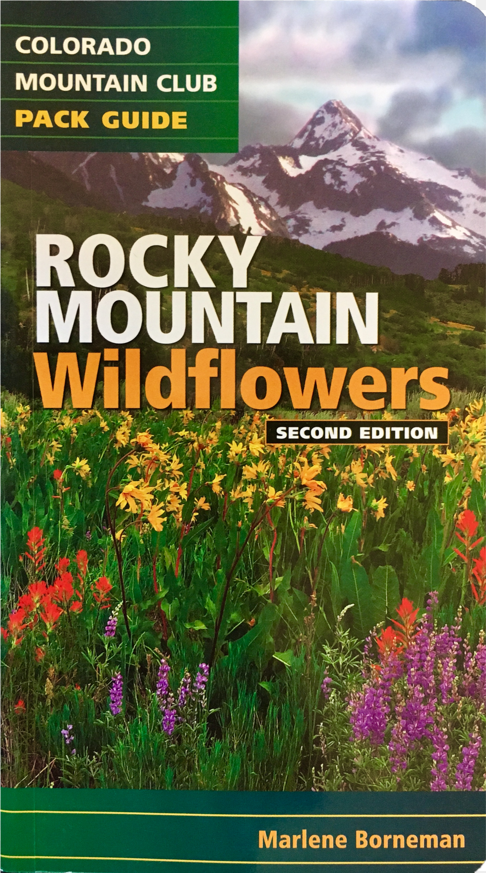 Shop Tickseed Png Image