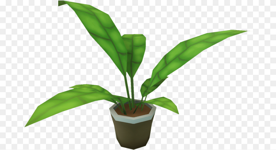 Shoppe Keep Wikia Ornamental Plants, Leaf, Plant, Tree, Person Png Image