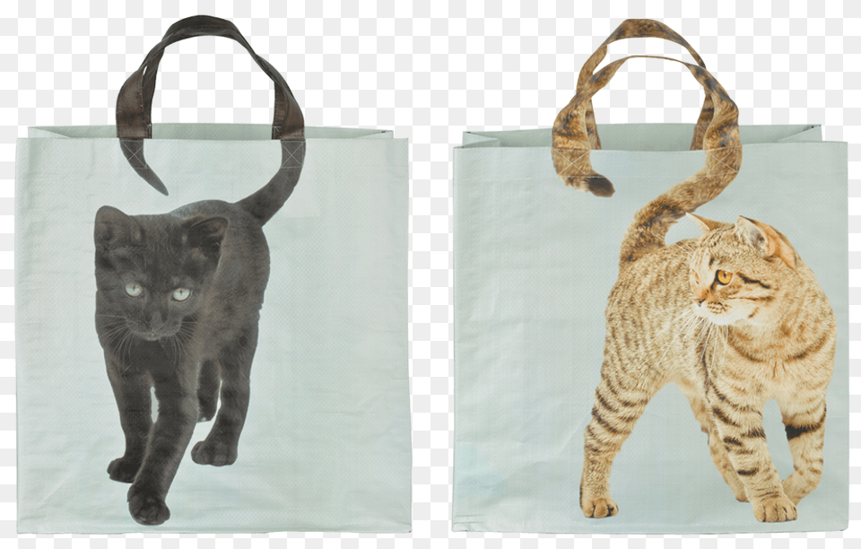 Shopping Bag Cats Tail Ass Shopping Bag With Animal, Accessories, Handbag, Tote Bag, Cat Png