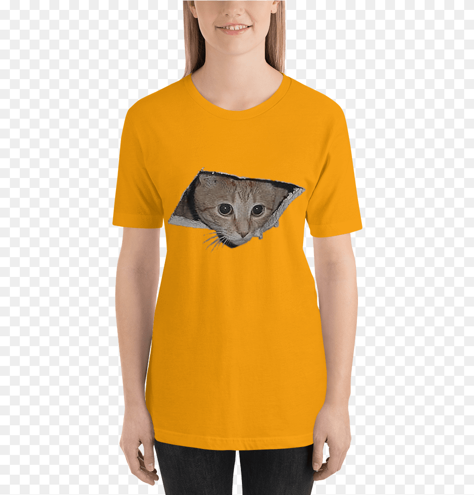 Shopping Peeping Cat Gold 3xl Ceiling Cat Is Watching You Magnet, Clothing, T-shirt, Person, Animal Png Image