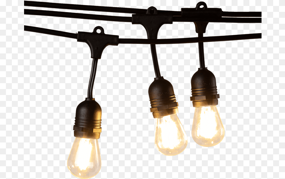 Shopping Plug In Glass Bulb Led Double Filament String Incandescent Light Bulb, Lightbulb, Lamp Png Image