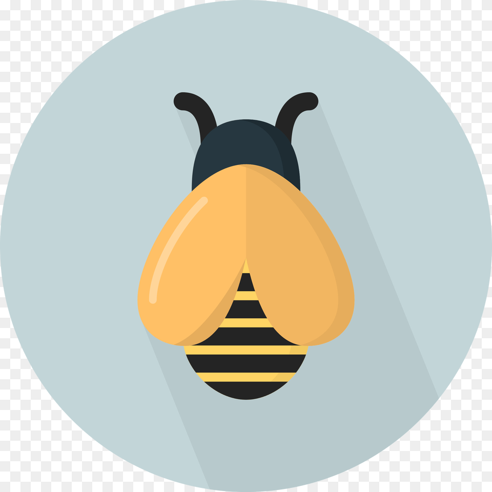 Shore Sports Therapy Creative Tail Animal Icon, Bee, Honey Bee, Insect, Invertebrate Free Png