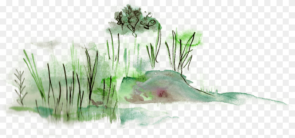 Shore Watercolor Paint, Art, Painting, Plant, Grass Png Image