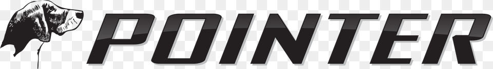 Shorebird, Text Png