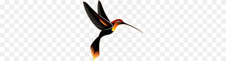 Shorebird Clipart, Animal, Beak, Bird, Bee Eater Free Transparent Png