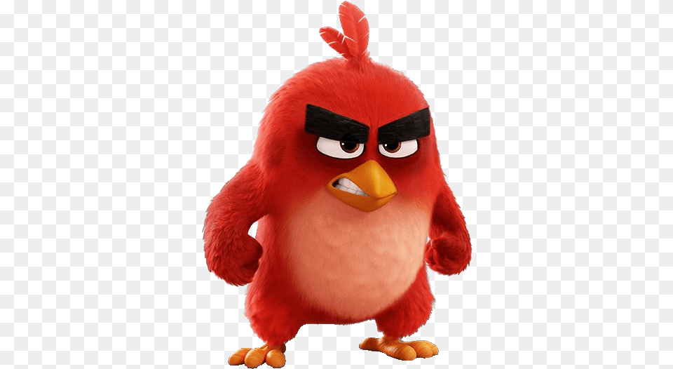Short Angry Quotes Most Of The Angry Birds Are Born, Toy, Animal, Beak, Bird Png Image