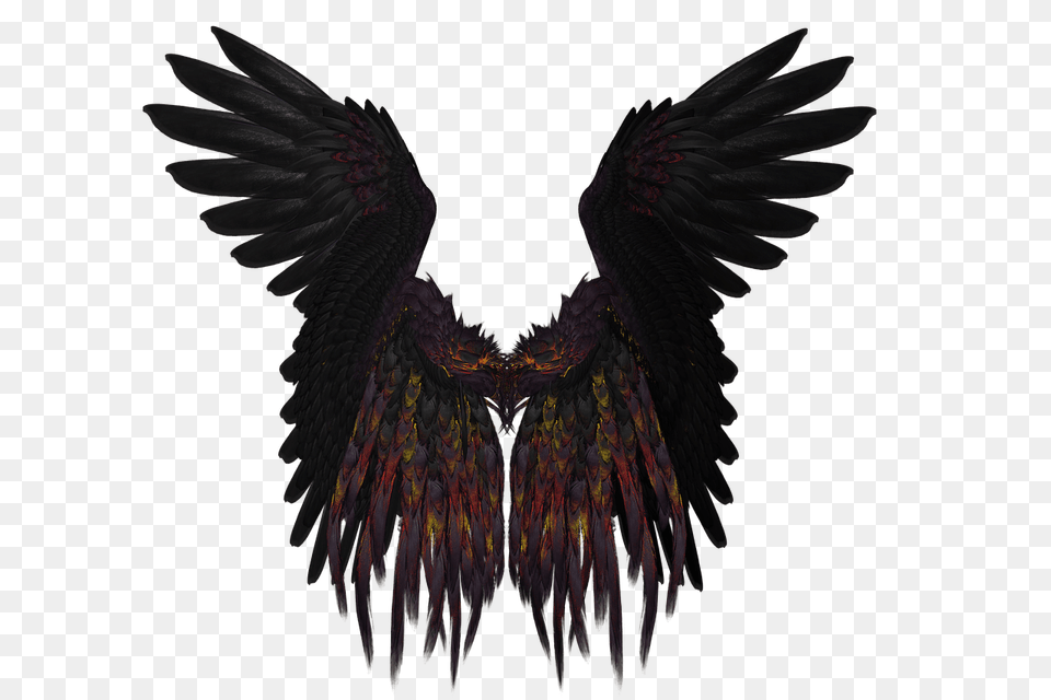 Short Black And Purple Wings, Animal, Bird, Flying, Vulture Png