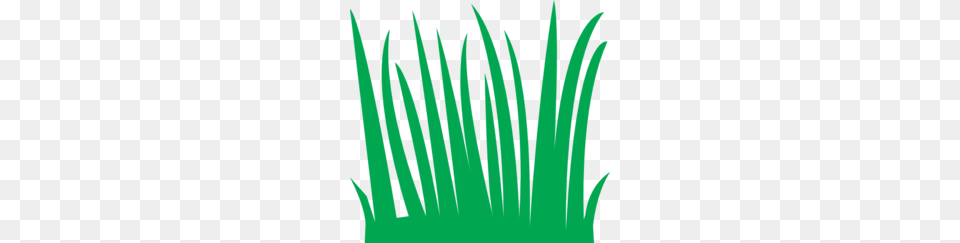 Short Red Straw Clipart, Green, Grass, Lighting, Plant Free Png Download