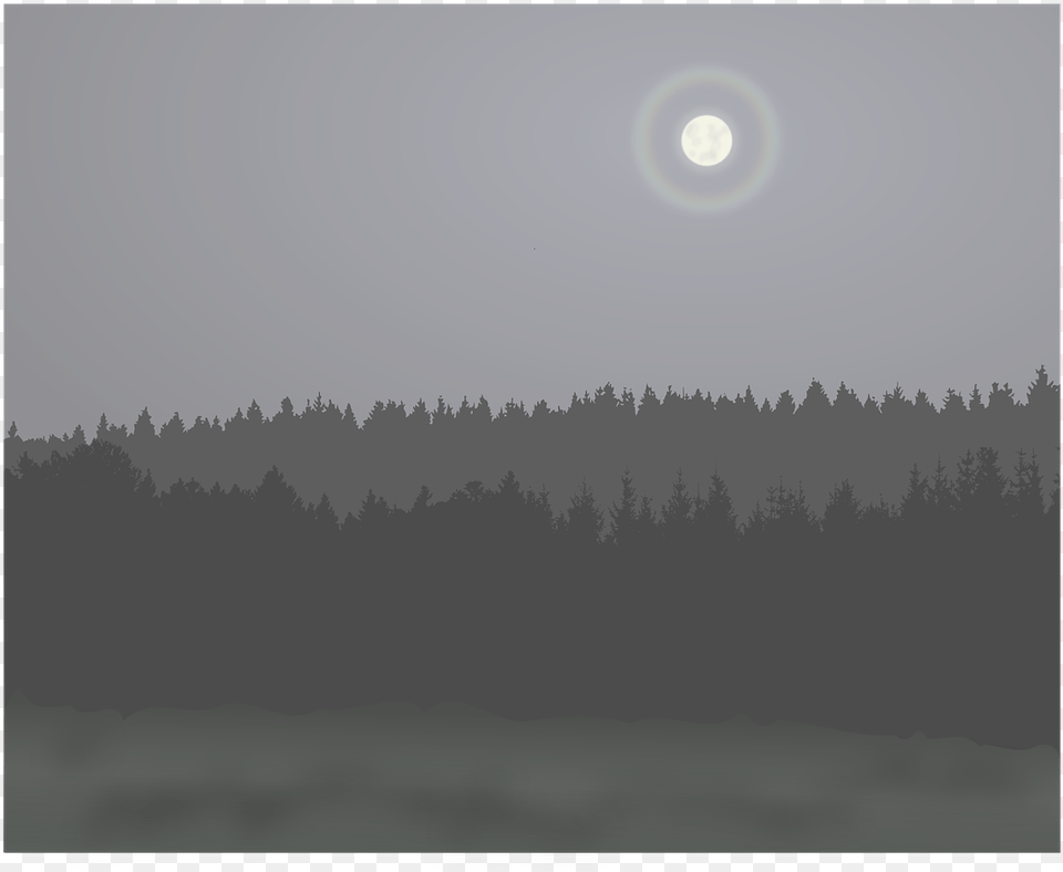 Shortleaf Black Spruce, Astronomy, Moon, Nature, Night Png