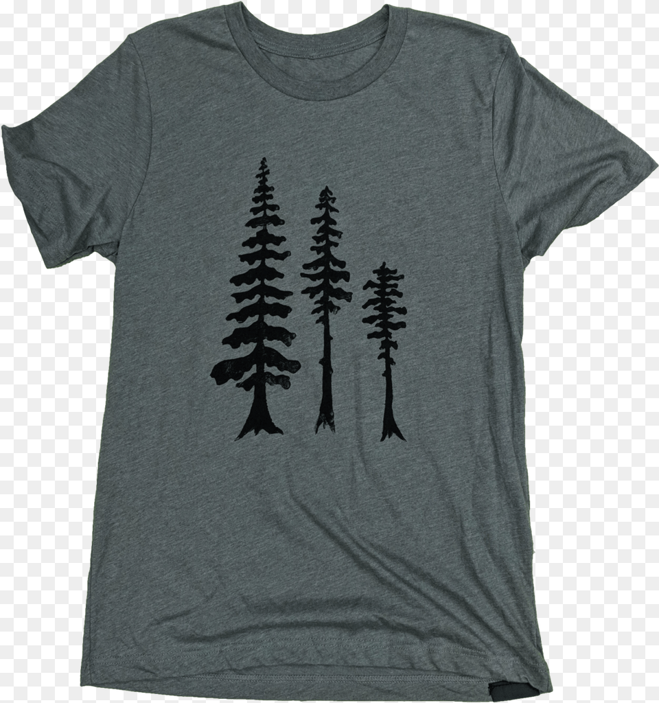 Shortleaf Black Spruce, Clothing, T-shirt, Shirt Free Transparent Png