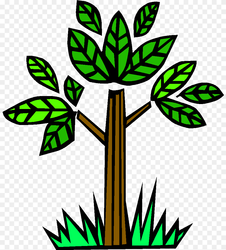 Should People Be Allowed To Destroy The Amazon Rainforest, Green, Leaf, Plant, Vegetation Free Png Download