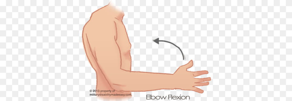 Shoulder Muscle 10 Shoulder Arm, Body Part, Person Png Image