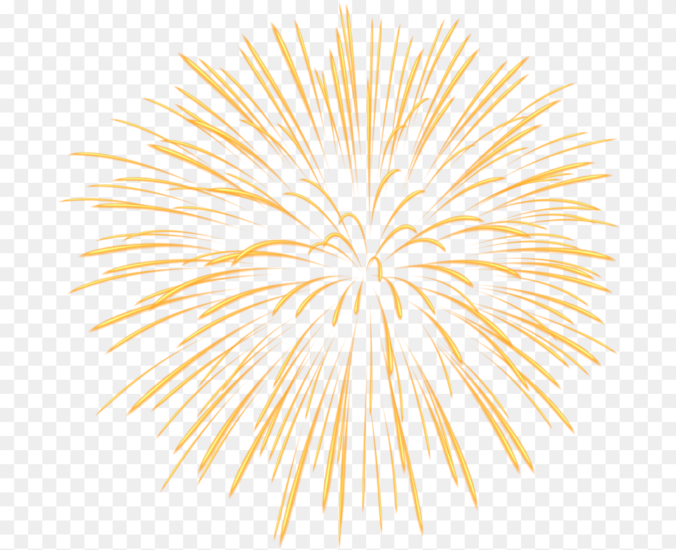 Show Fireworks Yellow Firework, Plant Png