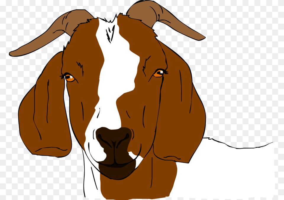 Show Goat Cliparts, Livestock, Animal, Mammal, Person Png