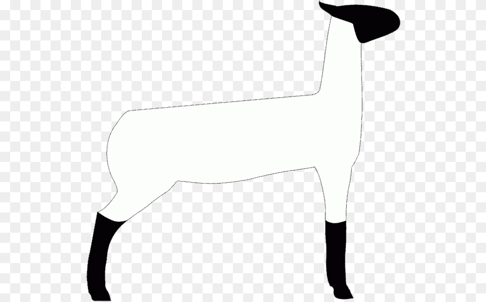 Show Lamb Clip Art, Person, Animal, Mammal Free Png Download