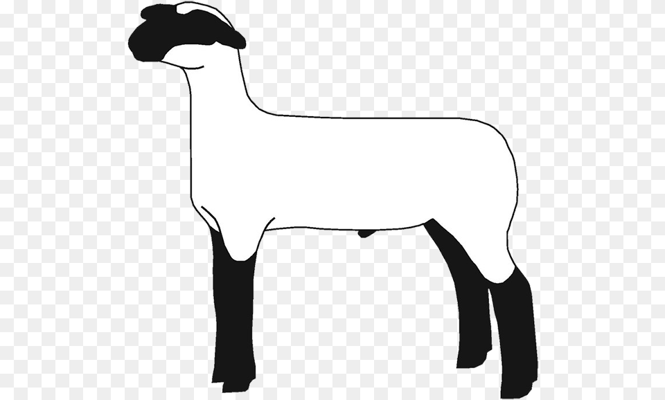 Show Lamb Clip Art, Livestock, Person, Animal, Mammal Png