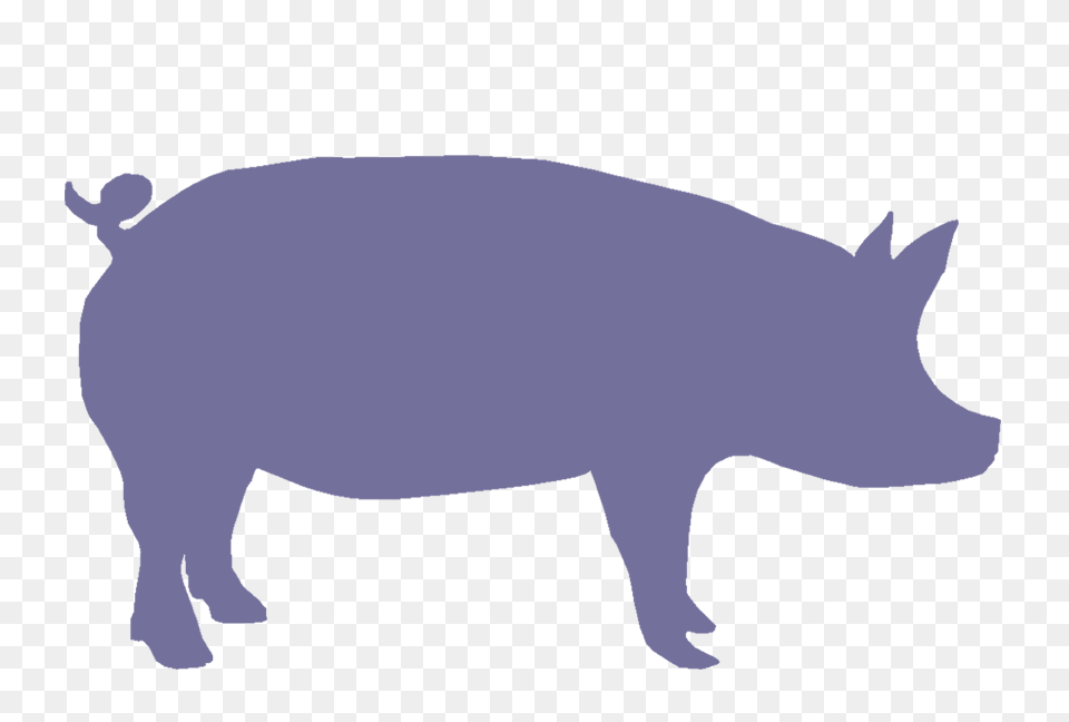 Show Pig Silhouette Png