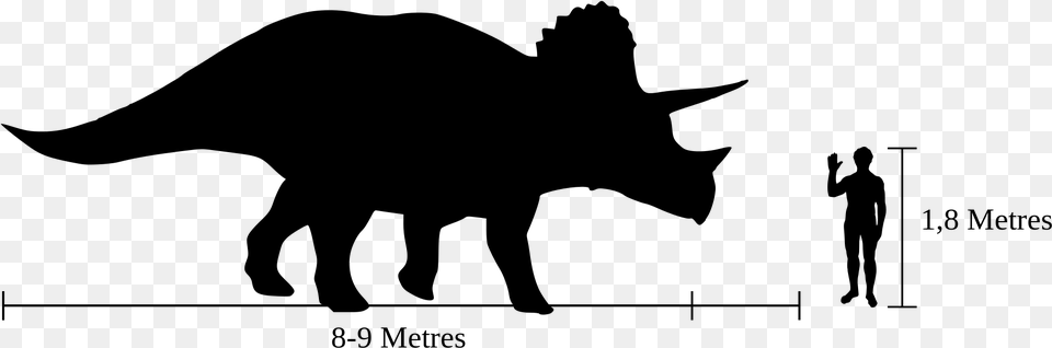 Show Pig Silhouette 9 Buy Clip Art Triceratops Compared To Human, Gray Free Png Download