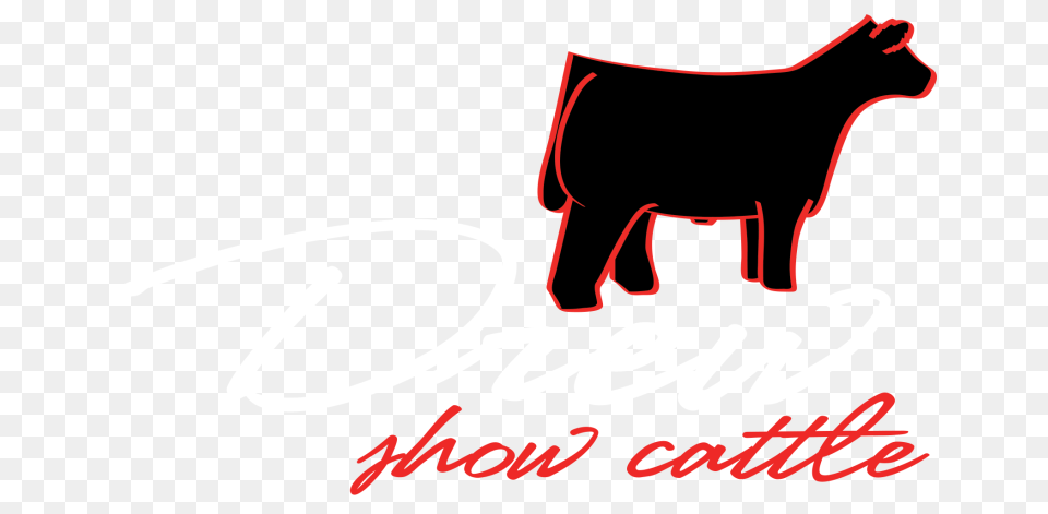 Show Steer Clip Art, Text Free Png