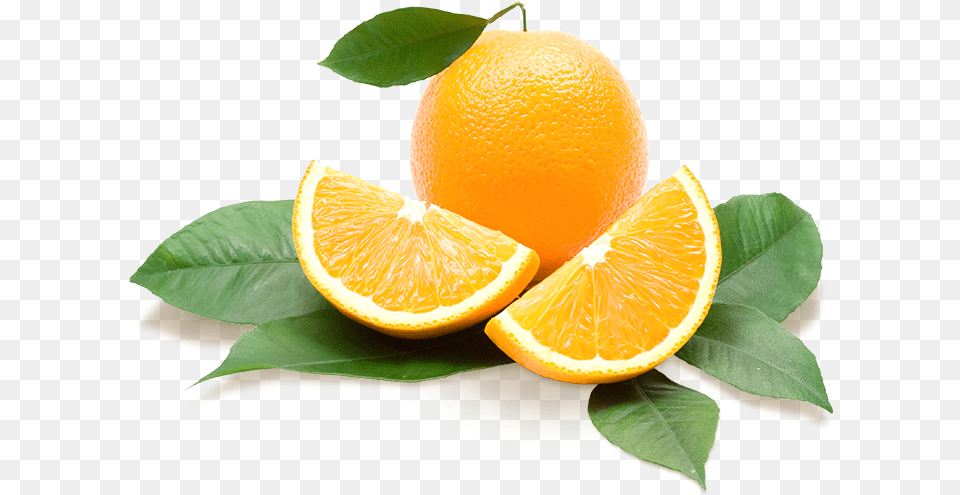 Showcase Of Citrus Transparent Background Oranges, Citrus Fruit, Food, Fruit, Grapefruit Png Image