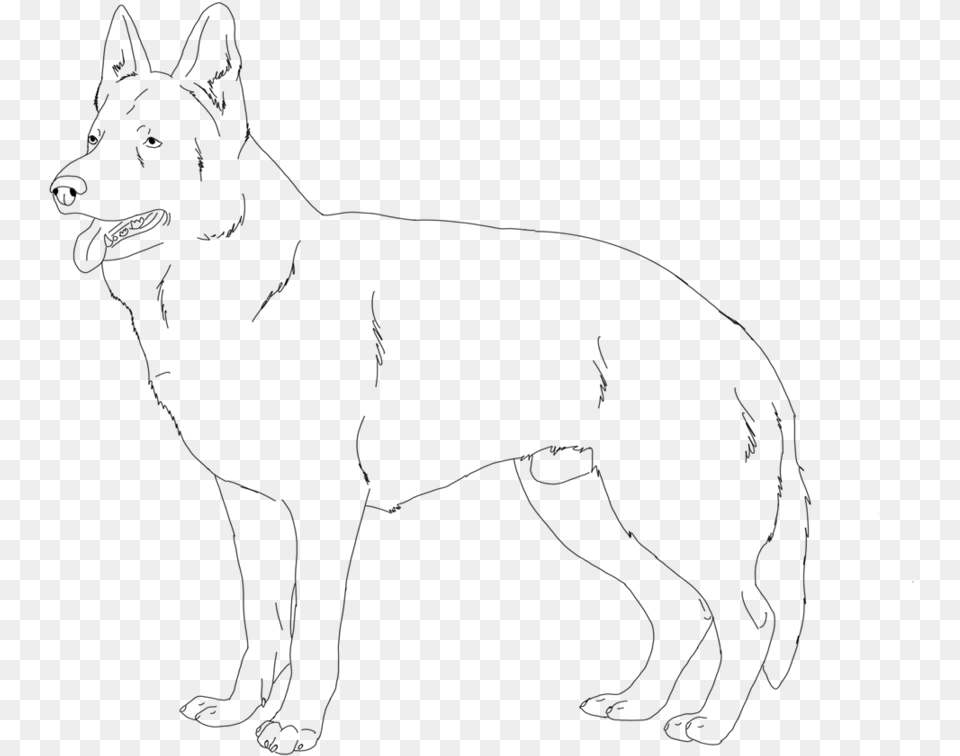 Showing Picture How To Draw An Angry Dog, Gray Free Transparent Png